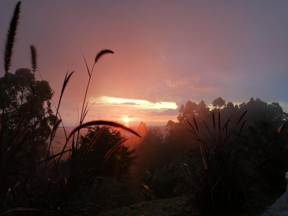 Hotel Natura Cocora Саленто Екстериор снимка